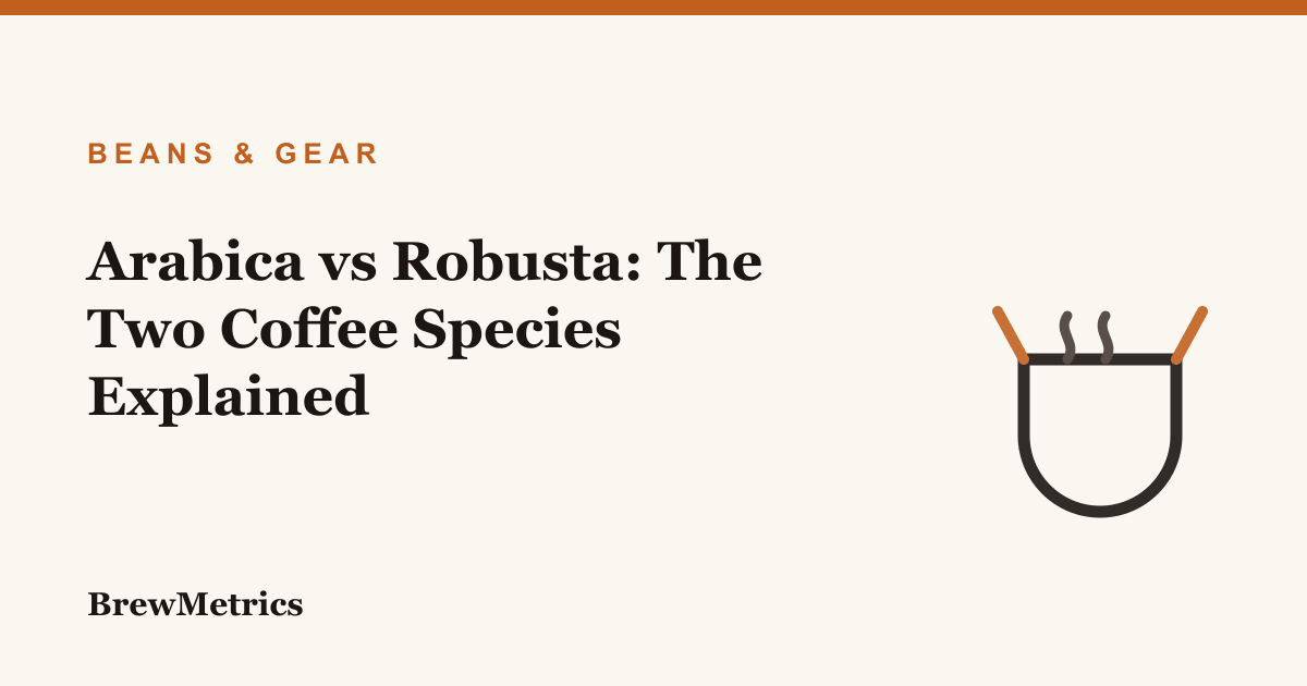 Arabica vs Robusta: The Two Coffee Species Explained
