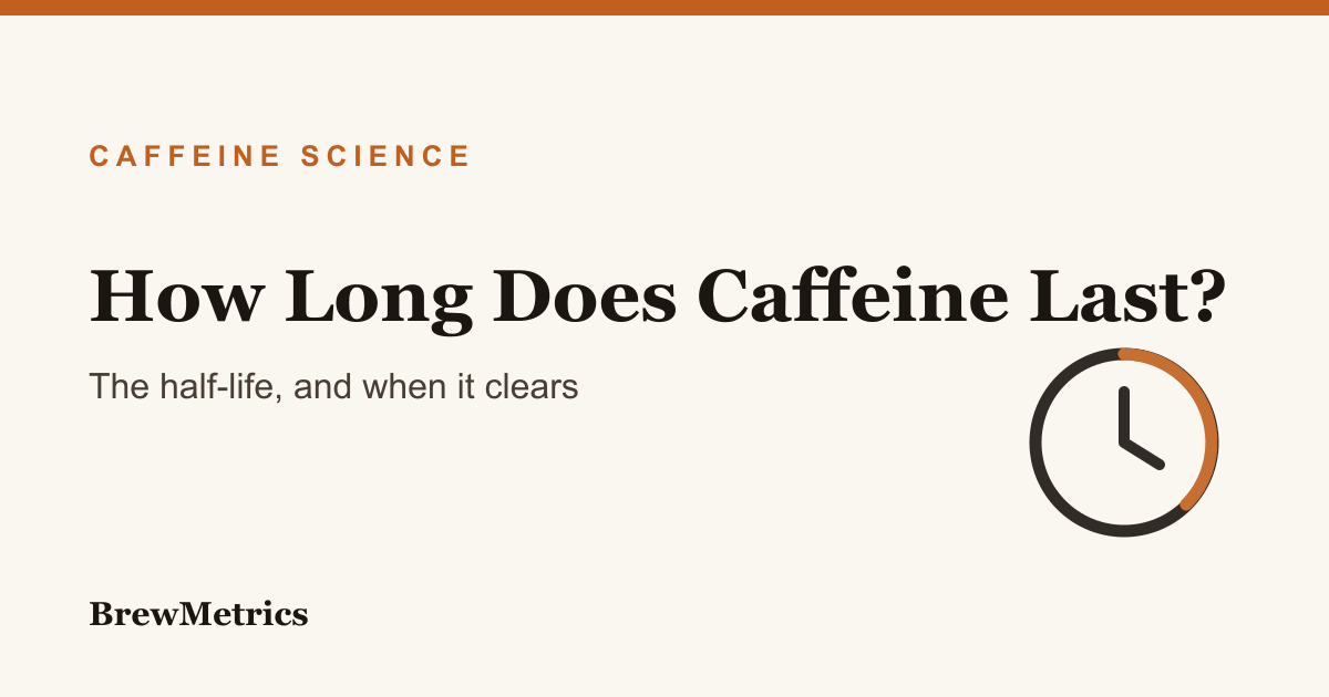 How Long Does Caffeine Last in Your System?